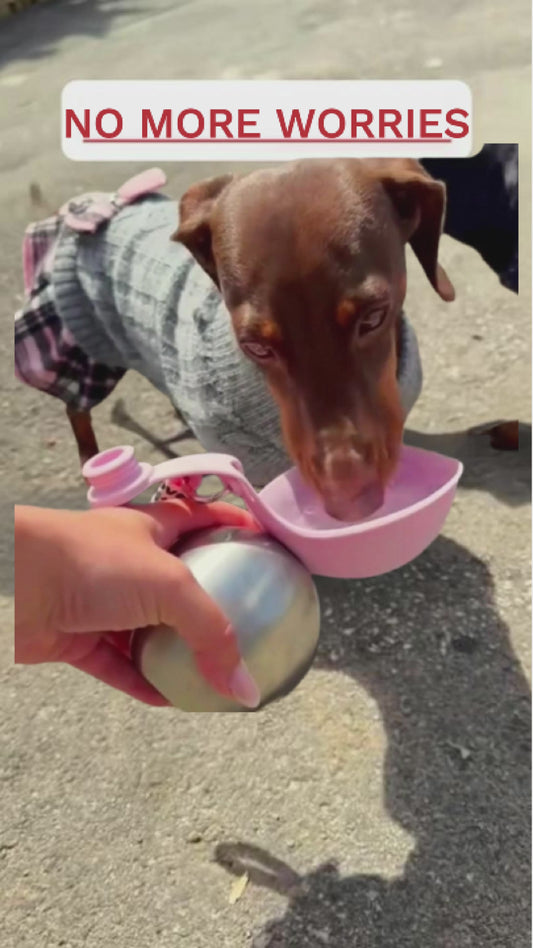 Portable Stainless Steel Water Bottle & Bowl for Dogs – Leak-Proof Travel Dispenser for Small Pets